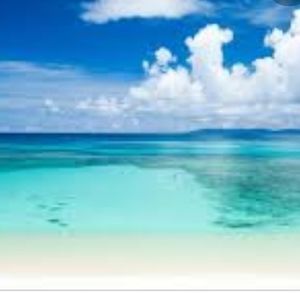 Meet your Posher, Isabel